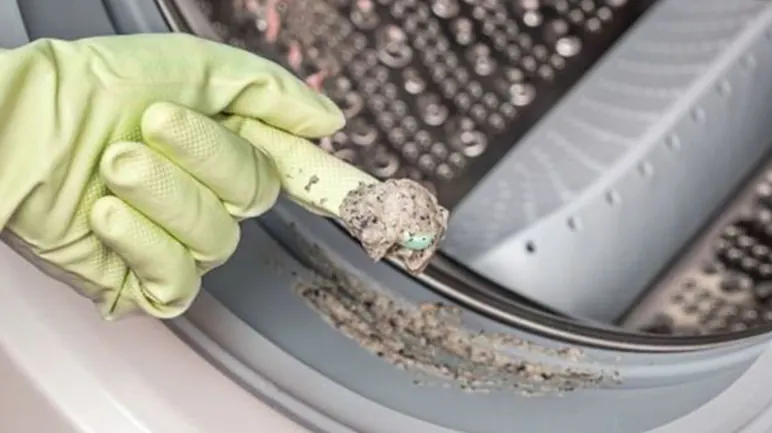 Buildup around the washing machine door seal
